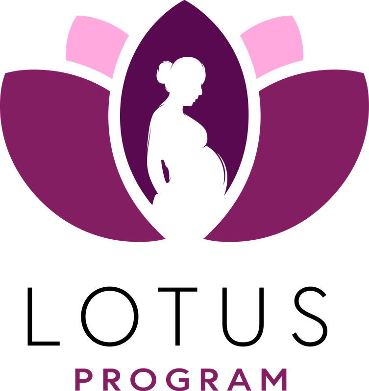 www.thelotusprogramexperience.org